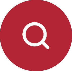 Search Icon 