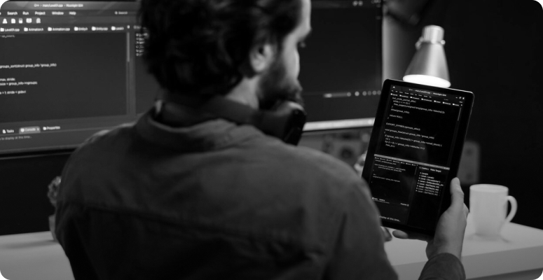 api development and integration