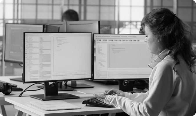 Custom Enterprise Solutions